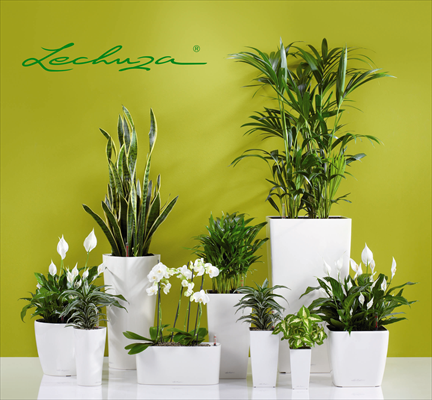 Lechuza Plant Containers