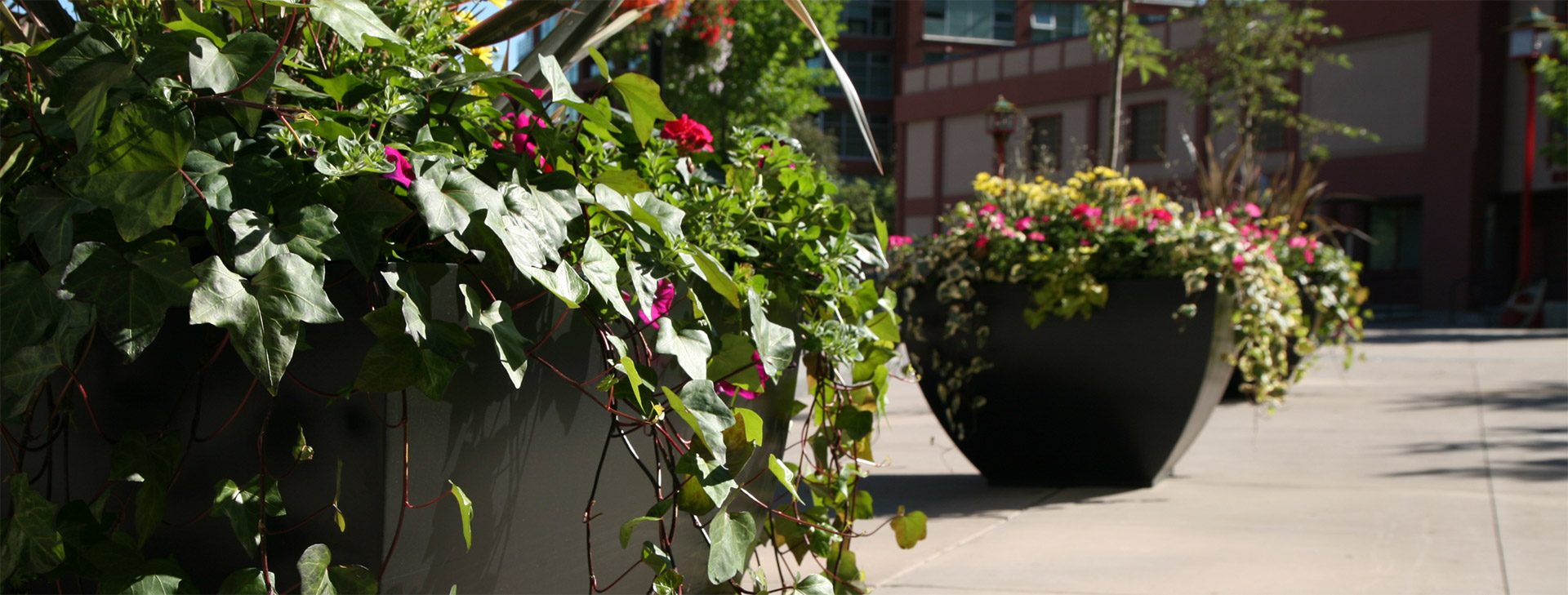 We have provided custom 
exterior landscaping services since 1986