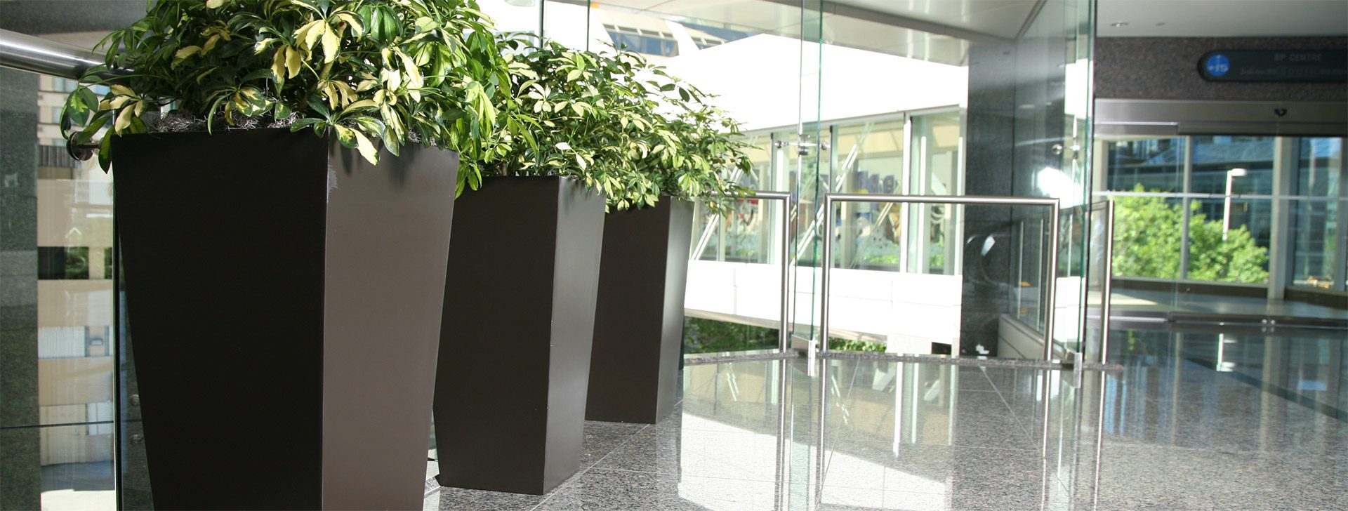 Your interior landscapes 
looking just the way they should