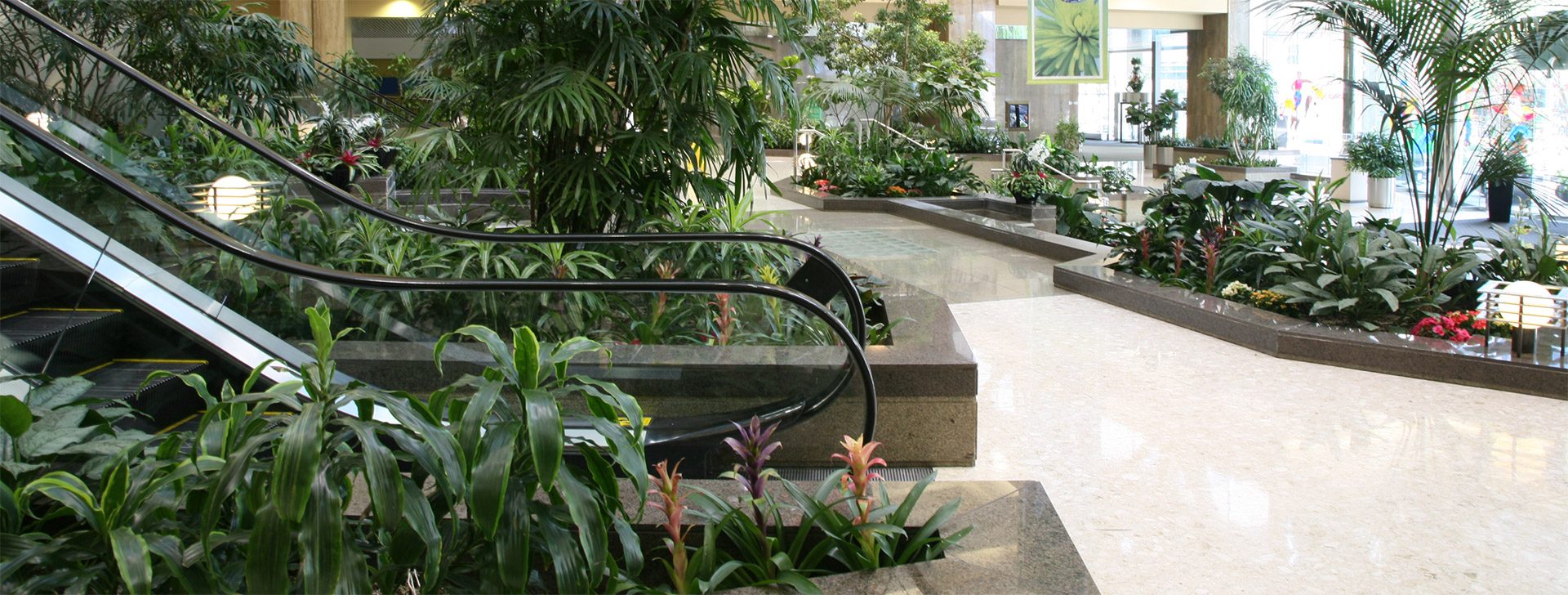 Count On Our 100% Guarantee Maintenance Program
All of your interior plants will be regularly 
maintained and healthy